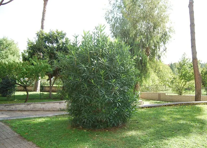 Roma Eur Bed & Breakfast